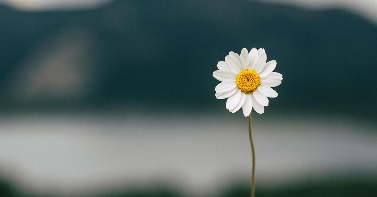 Eye doctor reviewing retinal imaging during a diabetic eye exam in Billings